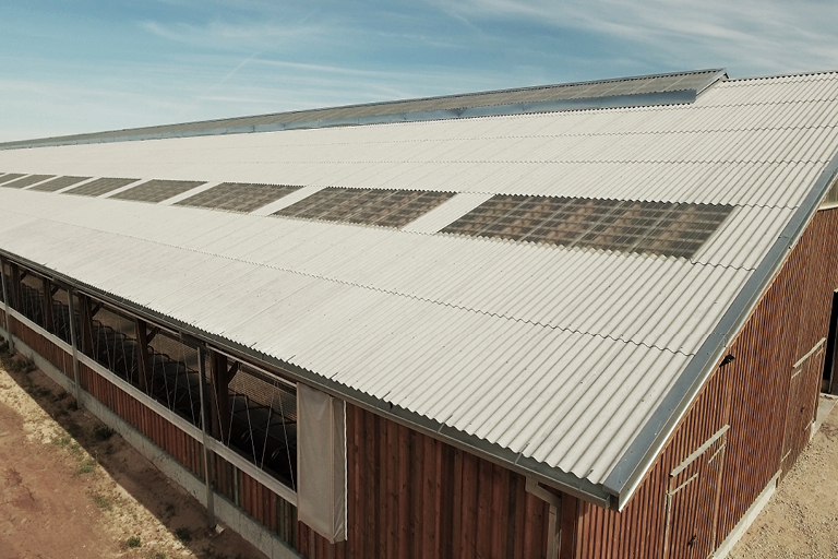 Tile_768x512_01_Agricultural-sheeting.jpg